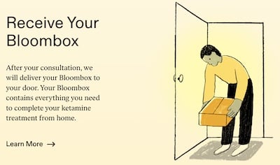 Mindbloom box